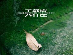 天秤座男生最宠爱什么样的女人