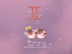双子座的男生喜欢什么类型的女生