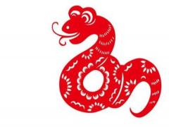 属蛇和属兔的婚配如何