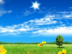4月25日出生什么命运性格如何