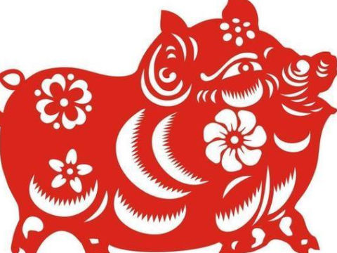十二生肖图片属猪的运势(十二生肖图片属猪的运势和财运)