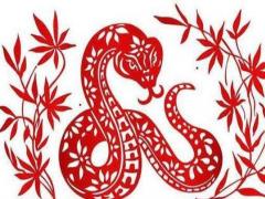 蛇年出生的女人的命运好不好