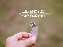 水瓶座如何度过感情的危机期