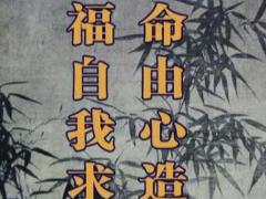 壬子日柱女命好不好