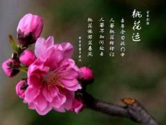 桃花旺的八字特点有哪些