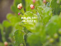 什么样风格的双鱼座女生最受男生欢迎