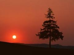 5月5日生人命运怎么样
