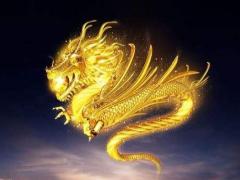 属羊和属龙的婚配好不好