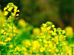 6月18日生人命运怎么样