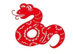 属蛇和属蛇一起会步入婚姻殿堂吗