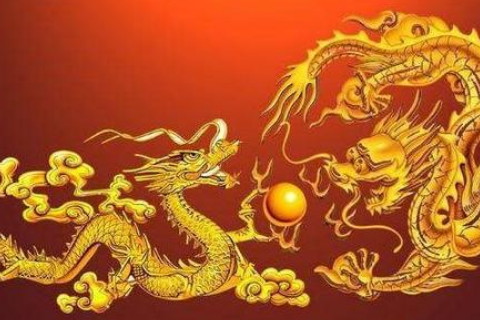 女属龙与什么属相最好