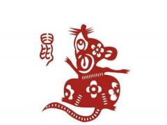 属牛和属马的夫妻例子结局幸福会有吗