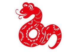 属蛇人命中注定的贵人是什么属相