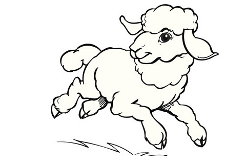 1967年属羊2022年运势及运程67年55岁属羊人的2022年每月运势详解