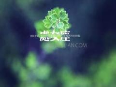 处女座坏习惯大汇总