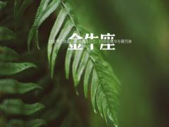 金牛座在说谎话的时候有什么行为特点