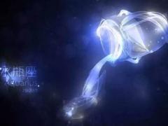 上升星座水瓶座的性格特点和命运吉凶会如何