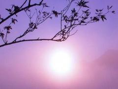 庚寅日出生人的性格详解