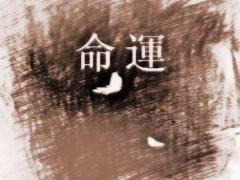 查己丑年出生人的命运如何