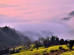 1月3日生人命运怎么样