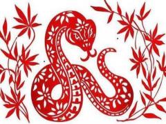 属蛇女和什么属相最相配