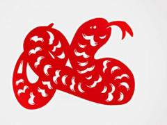 生肖女蛇和男龙会相配吗
