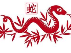 2022年生肖蛇四大运势具体有何表现