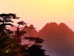 1月11日出生什么命运性格如何