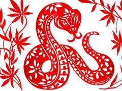 全面分析属蛇12月出生是什么命