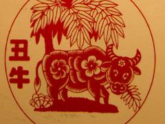 1961年属牛的今年多大2022,1961年出生2022年多大年龄