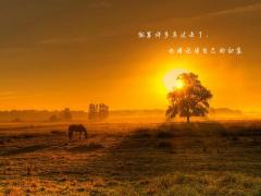 4月24日生人命运怎么样