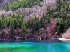 1月7日出生什么命运性格如何