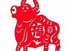 冬天出生的属牛人命运分析