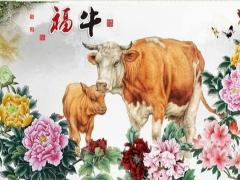秋天出生的属牛人命运分析