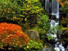 10月6日出生什么命运性格如何