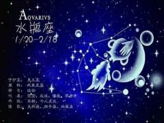 金牛座和水瓶座配对指数